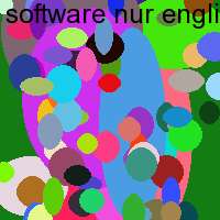 software nur englisch