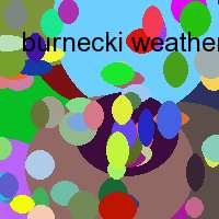 burnecki weather derivative